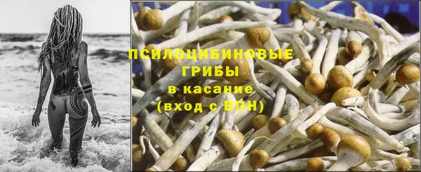 соль ск Алексин